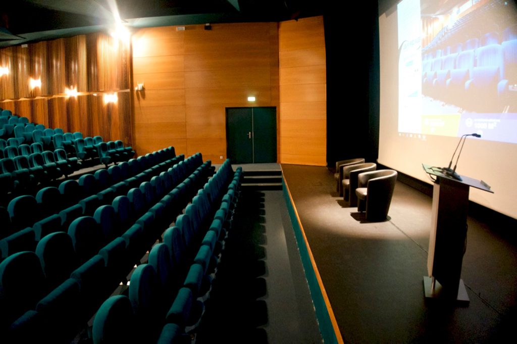 amphitheatre_foreziales_3